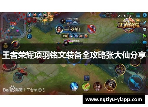 王者荣耀项羽铭文装备全攻略张大仙分享