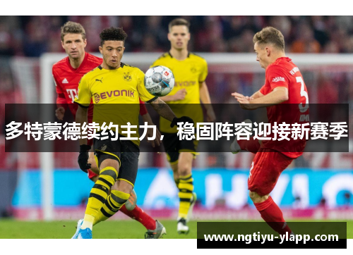 多特蒙德续约主力，稳固阵容迎接新赛季